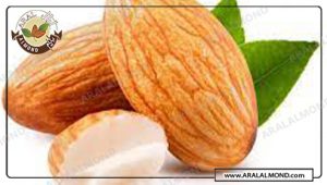 صادرات عمده مغز بادام ایرانی