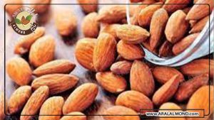 مرکز فروش عمده بادام در ایران