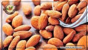 مرکز فروش عمده بادام در ایران