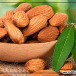 قیمت خرید بادام مامایی صادراتی سامان
