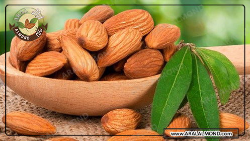 قیمت خرید بادام مامایی صادراتی سامان