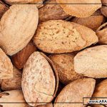 فروشگاه عمده بادام چهار محال بختیاری