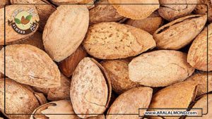 فروشگاه عمده بادام چهار محال بختیاری