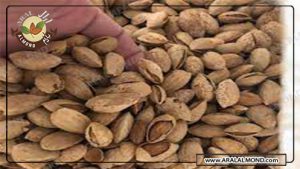 مرکز صادرات عمده بادام در ایران