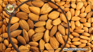 فروش مغز بادام ربیع با قیمت مناسب در آرال آلموند