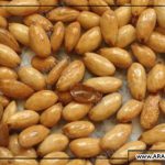 قیمت عمده مغز بادام مامایی درجه یک سامان