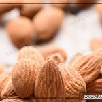 قیمت بادام مامایی سامان و ویژگی این بادام