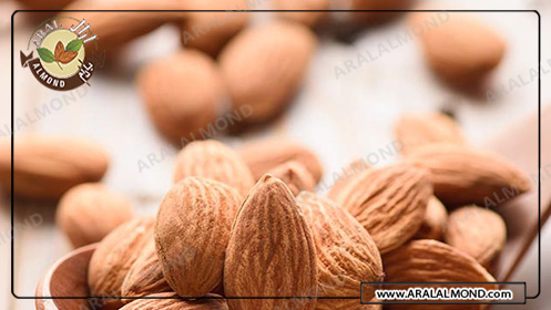 قیمت بادام مامایی سامان و ویژگی این بادام