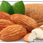 صادرات عمده مغز بادام مامایی درجه یک