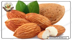 صادرات عمده مغز بادام مامایی درجه یک