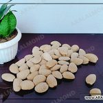 خرید و قیمت فروش بادام مرغوب روغنگیری