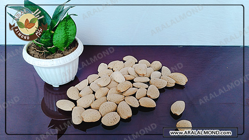 خرید و قیمت فروش بادام مرغوب روغنگیری