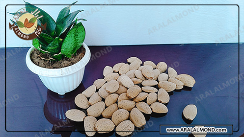 خواص بادام درختی ایرانی برای لاغری