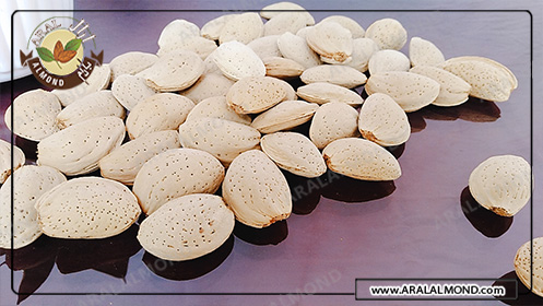 قیمت خرید بادام درختی با پوست در اصفهان