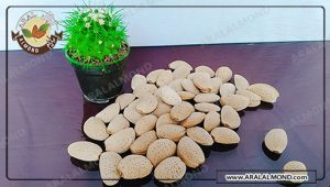 کالری بادام درختی و خواص آن برای لاغری