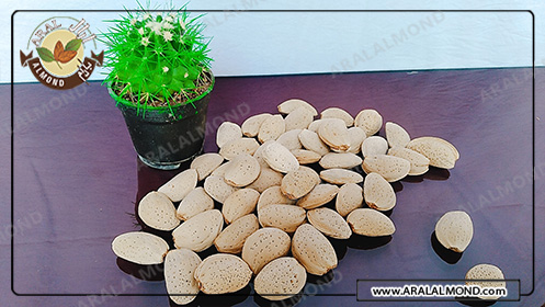 کالری بادام درختی و خواص آن برای لاغری