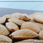 فروش مغز بادام ربیع با قیمت مناسب در آرال آلموند