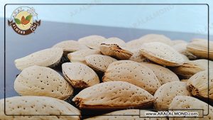 فروش مغز بادام ربیع با قیمت مناسب در آرال آلموند