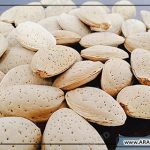 عرضه انبوه بادام سنگی درجه یک