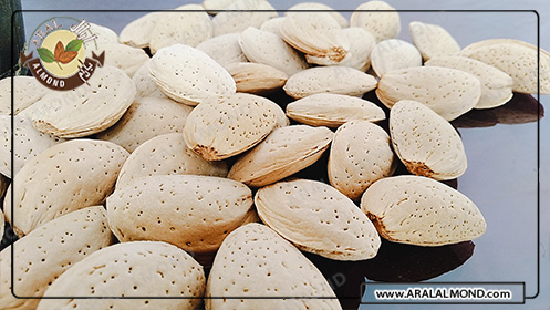 عرضه انبوه بادام سنگی درجه یک