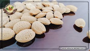 قیمت خرید بادام درختی با پوست در اصفهان