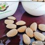 قیمت خرید بادام درختی با پوست در اصفهان