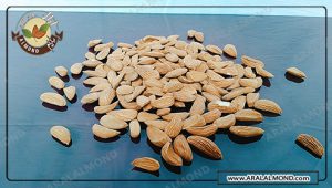توزیع مستقیم بادام مامایی درجه یک درشت