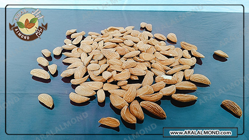 توزیع مستقیم بادام مامایی درجه یک درشت