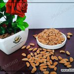 توزیع مستقیم بادام مامایی ۸۰ دانه با کیفیت عالی