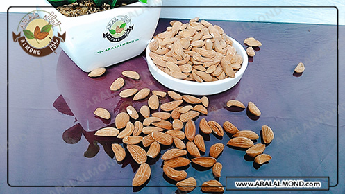 تجارت مغز بادام مامایی اصفهان