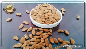 خواص بادام منقا پوست کاغذی و خرید بادام ایرانی