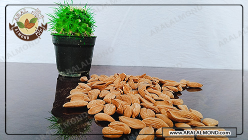 قیمت بادام درختی خام صادراتی و خواص بادام درختی