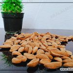 بادام درختی منقا پوست کاغذی صادراتی خام
