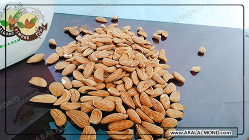 فروش عمده بادام شکسته مامایی مرغوب