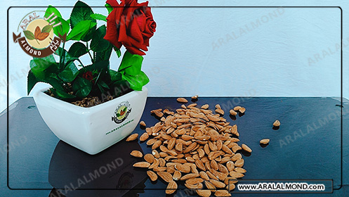 فروشگاه اینترنتی بادام