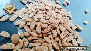 تولید عمده مغز بادام مامایی با کیفیت