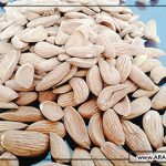 فروشگاه اینترنتی ادام سفید شهر کرد