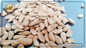 فروشگاه اینترنتی ادام سفید شهر کرد