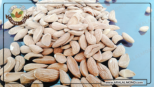 فروشگاه اینترنتی ادام سفید شهر کرد