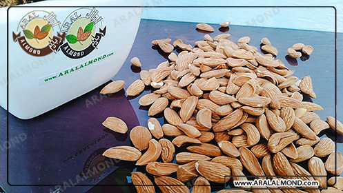 فروشگاه عمده بادام محب ایرانی