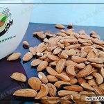 فروشگاه عمده بادام کاغذی ارزان