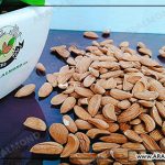 قیمت بادام مامایی درشت و درجه یک