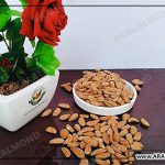 عرضه مغز بادام مامایی باکیفیت