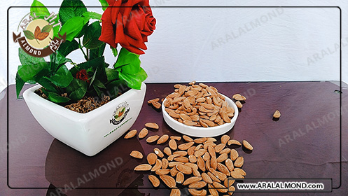 عرضه مغز بادام مامایی باکیفیت