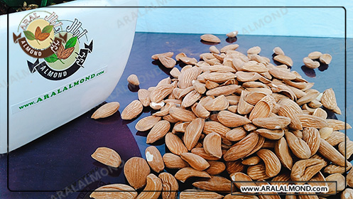 فروش عمده بادام شکسته مامایی مرغوب