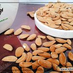 خرید و قیمت بادام درختی خام ایرانی