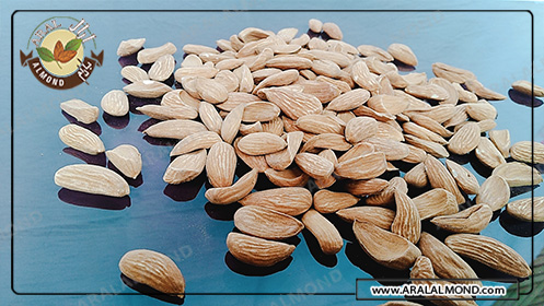 مرکز فروش و صادرات بادام در ایران