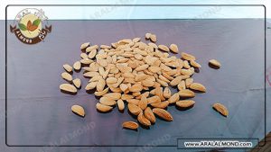 تولید مغز بادام درجه یک سامان