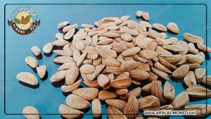 مرکز عرضه بادام مغز شده شیرین ارزان