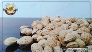 خریدار برتر بادام پوست کاغذی در ایران